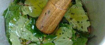 “Rongoa Maori” Traditional Maori Medicine – Let's Learn